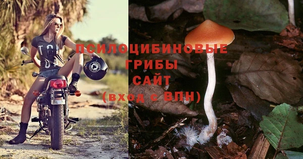 прущая мука Пестово