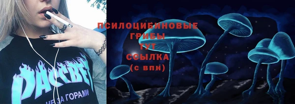 мескалин Пересвет