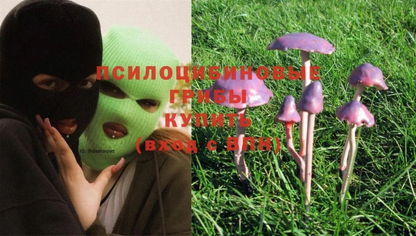 прущая мука Пестово