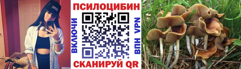 Галлюциногенные грибы прущие грибы  Рудня 